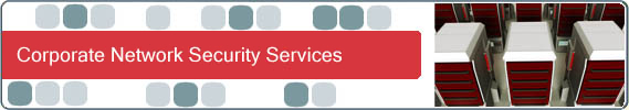 Security Banner