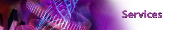Services Banner